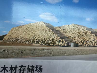 曬料現(xiàn)場(chǎng)